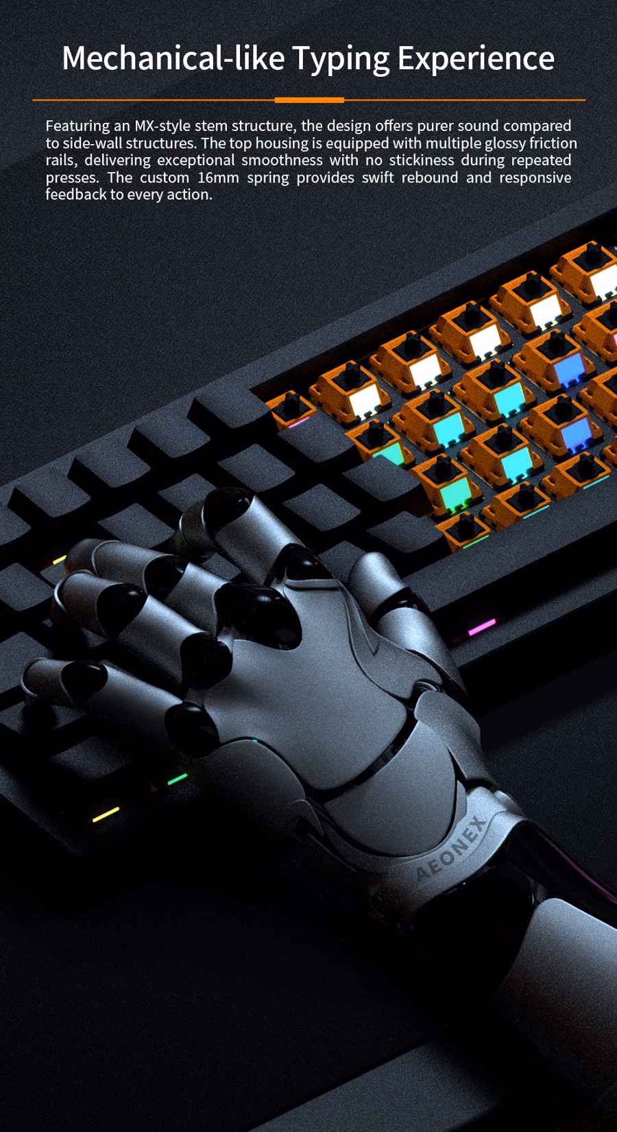 Designer Studio x ESPTiger FOCUS 6